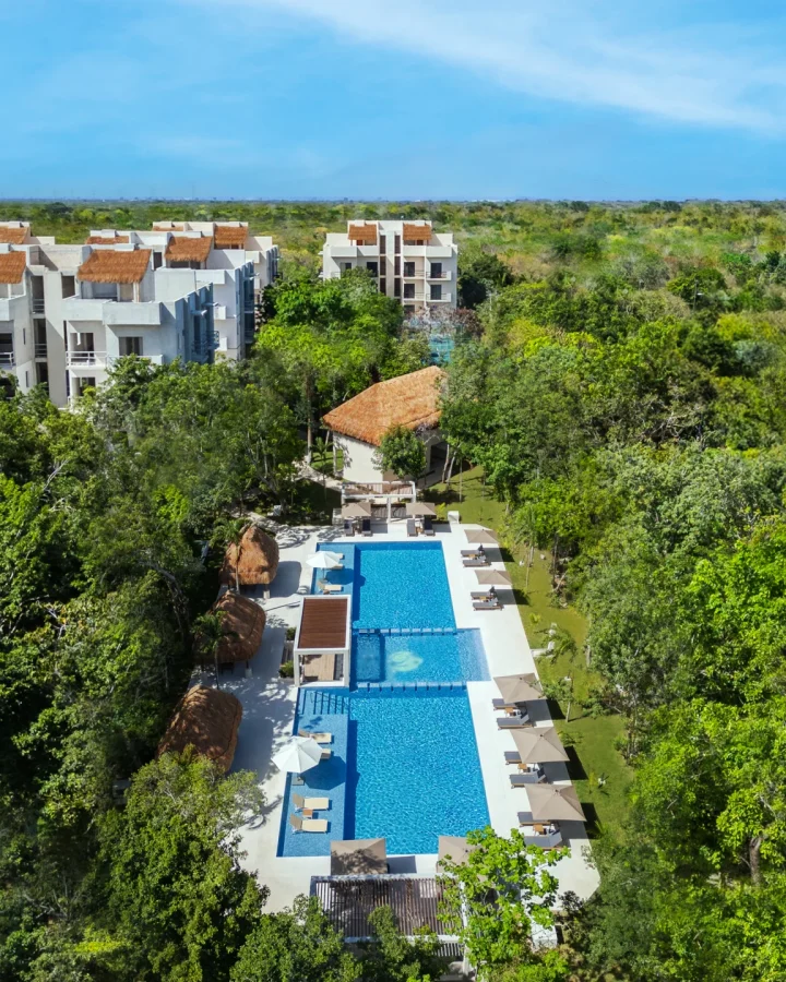 Selva Escondida II Vista Áerea