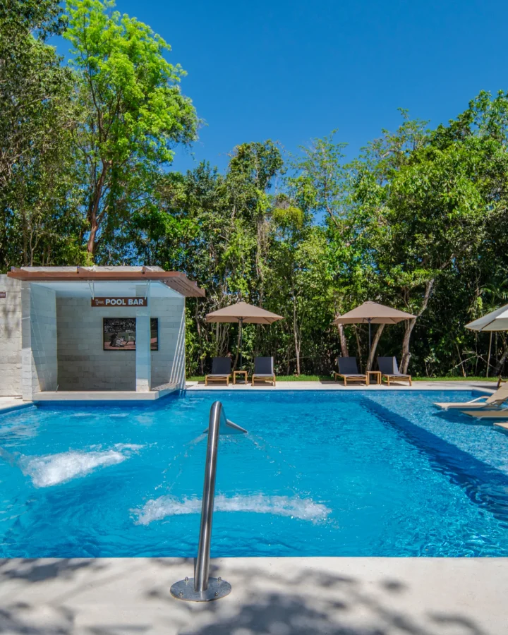 Albera Adultos_resultado