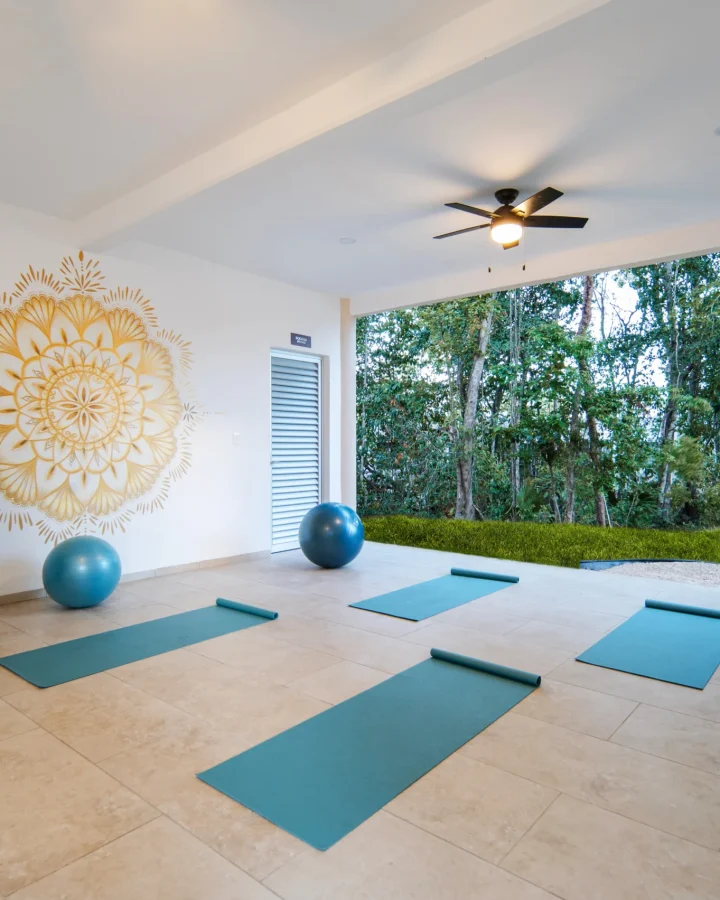 área de yoga_resultado